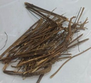 چرائتہ Swertia chirayita कड़वा चिरायता