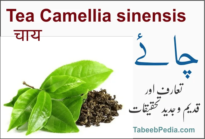 چائے