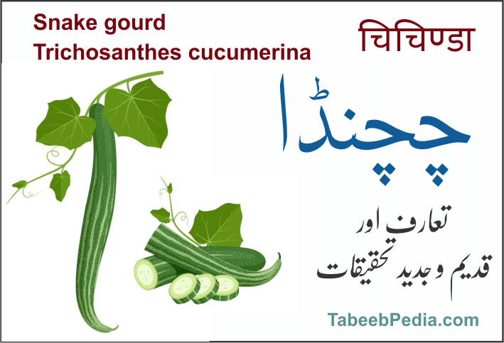 چچینڈا / چچنڈا