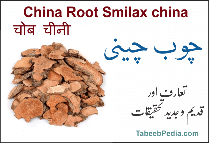 چوب چینی – TabeebPedia