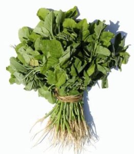 چولائی Slender amaranth Amaranthus viridis चौलई
