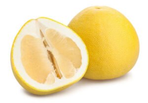 چکوترہ Pomelo Citrus maxima चकोतरा