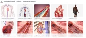 اناٹومی تھری ڈی ماڈلز Anatomy 3D Models 4