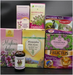 حاشا پہاڑی اجوائن Wild thyme Breckland Thyme Thymus serpyllum अजवायन के फूल