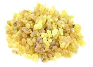 حب البطم Pistacia mutica Pistacia atlantica जंगली पिस्ता