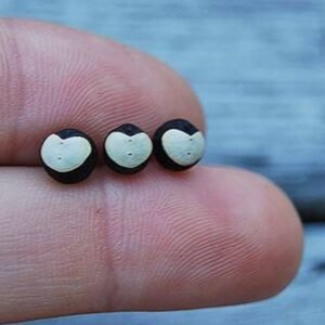 حب القلقل Balloon vine Heart seed Cardiospermum halicacabum कनफूटी