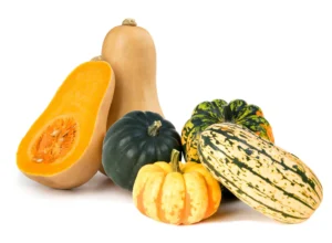 حلوہ کدو پیٹھا Winter Squash Cucurbita maxima कद्दू हलवाई