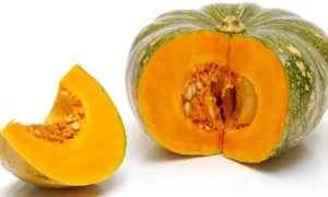 حلوہ کدو پیٹھا Winter Squash Cucurbita maxima कद्दू हलवाई