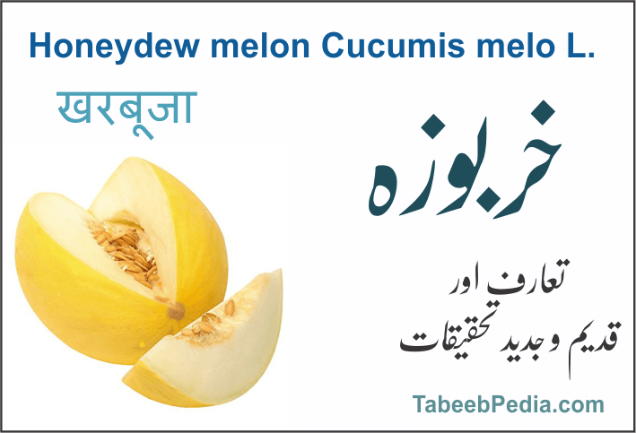 خربوزہ – TabeebPedia