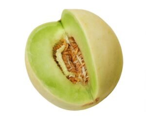 خربوزہ Honeydew melon Cucumis melo L. (Inodorus Group) खरबूजा