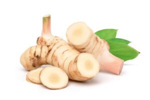 خولنجاں Greater Galangal Alpinia galanga कुलंजन