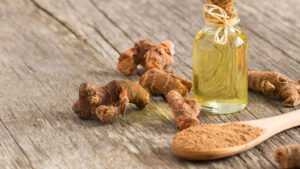 خولنجاں Greater Galangal Alpinia galanga कुलंजन