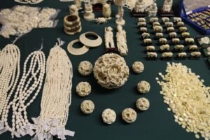 دانت ہاتھی دندان فیل tusk elephant हाथीदांत