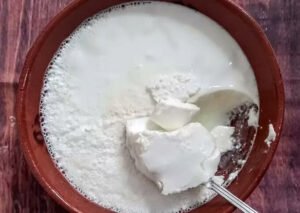 دودھ بھینس Domestic water buffalo Bubalus bubalis Milk भैंस का दूध