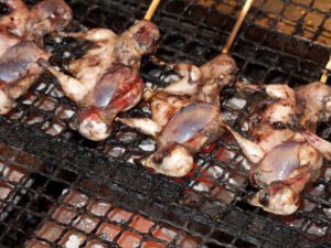 چڑیا Sparrow Passer domesticus गौरैया