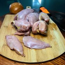 چکور Chukar Alectoris chukar चकोर