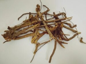 چیتہ چترک Leadwort Plumbago zeylanica चित्रक