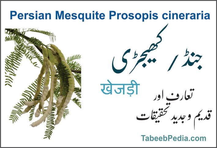 جنڈ / کھیجڑی