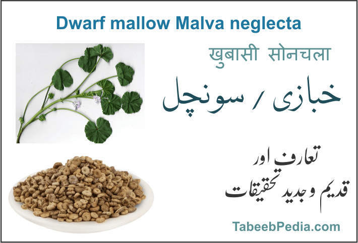 خبازی / سونچل