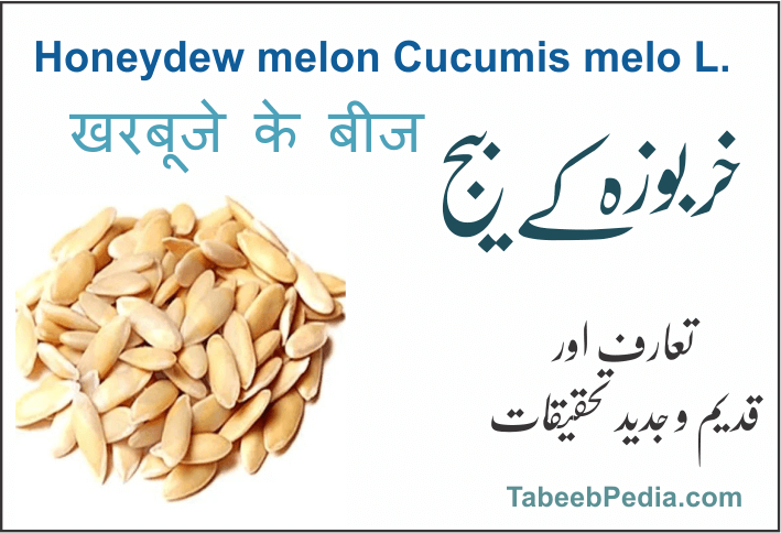 خربوزہ  کے بیج