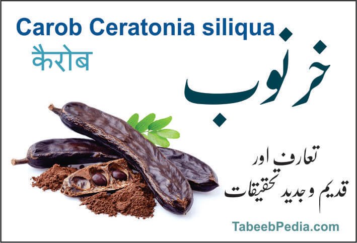 خرنوب، کاروب