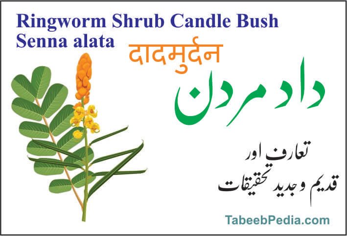 داد مردن / داد بوٹی