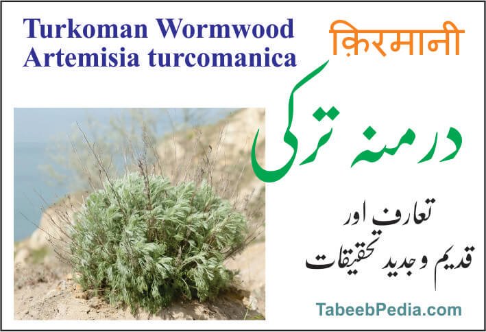 در منہ ترکی