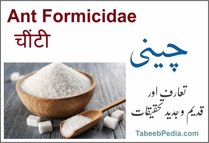 چینی (ریفائنڈ سفید شوگر)