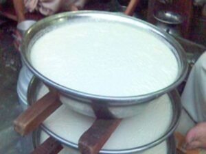 دہی Curd Fermented Milk दही