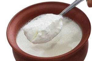 دہی Curd Fermented Milk दही