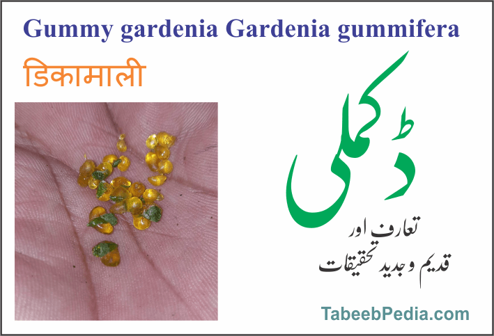 ڈکملی / ڈیکا مالی