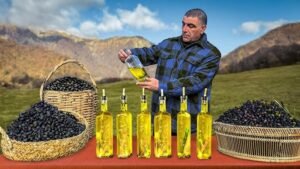روغن زیتون Olive Oil Olea europaea जैतून का तेल