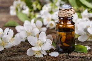 روغن چنبیلی Jasmine Oil Jasminum चमेली