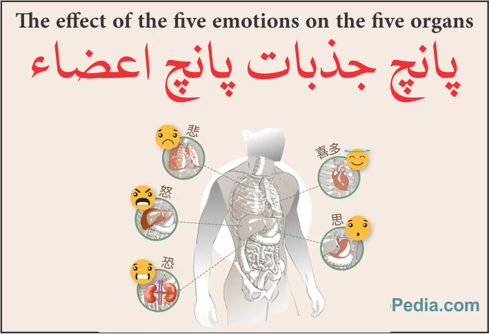 پانچ جذبات کے پانچ اعضاء پر اثرات