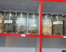 Ahsan Chishti Bin Qutab