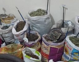 Ahsan Chishti Bin Qutab