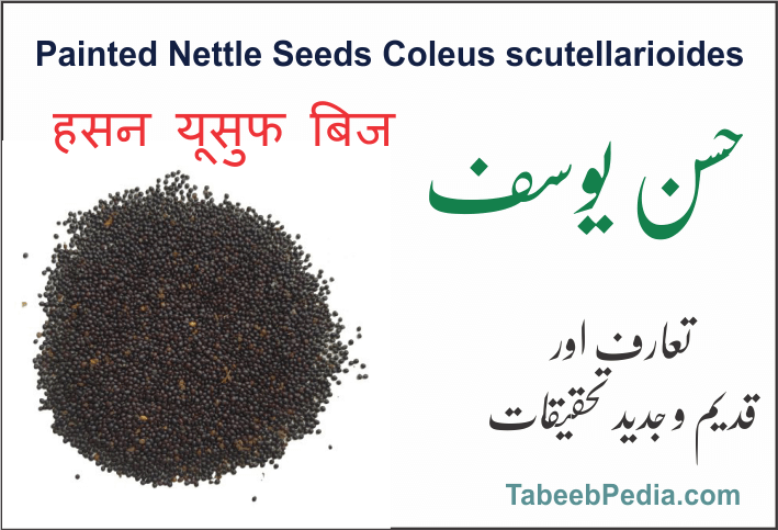 حسن یوسف بیج