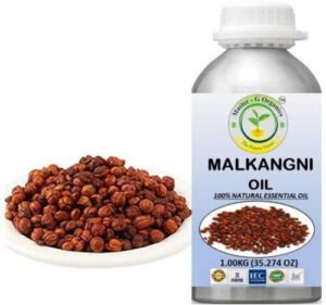 روغن مال کنگنی Oil of Celastrus paniculatus मालकांगनी तेल