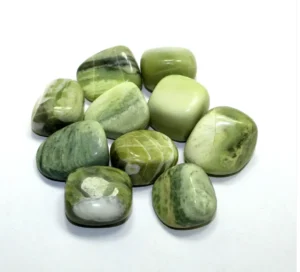 زہر مہرہ Serpentine Bezoar Alloy Magnesium Iron Silicate ज़हर मोहरा