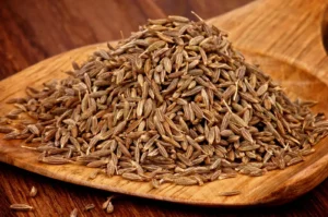 زیرہ Cumin Cuminum cyminum जीरा