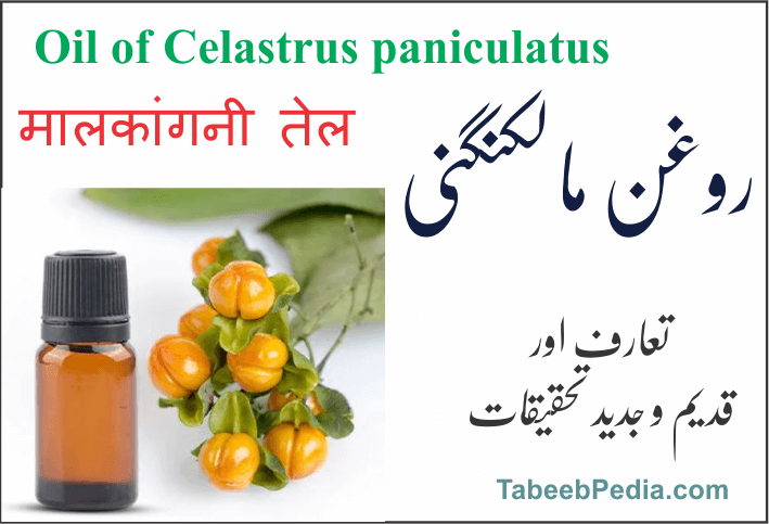 روغن مالکنگنی