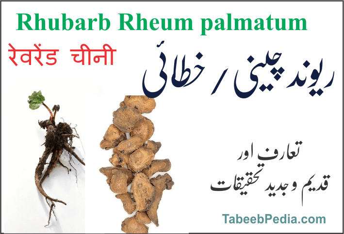 ریوند چینی / ریوند خطائی