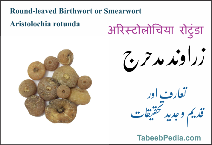 زراوند مدحرج