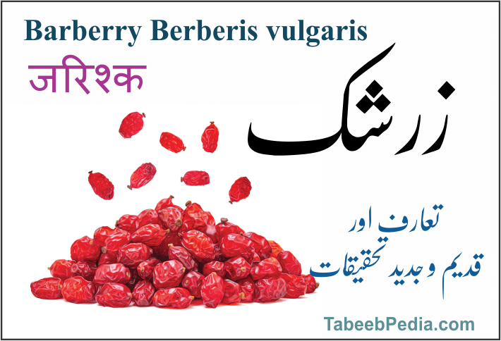 زرشک / سمبل پھل