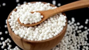 ساگودانہ Cassava tapioca Manihot esculenta सागो पाम