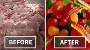 سریش Gelatin Gelatinum जिलेटिन