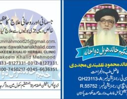Khalid Mehmood