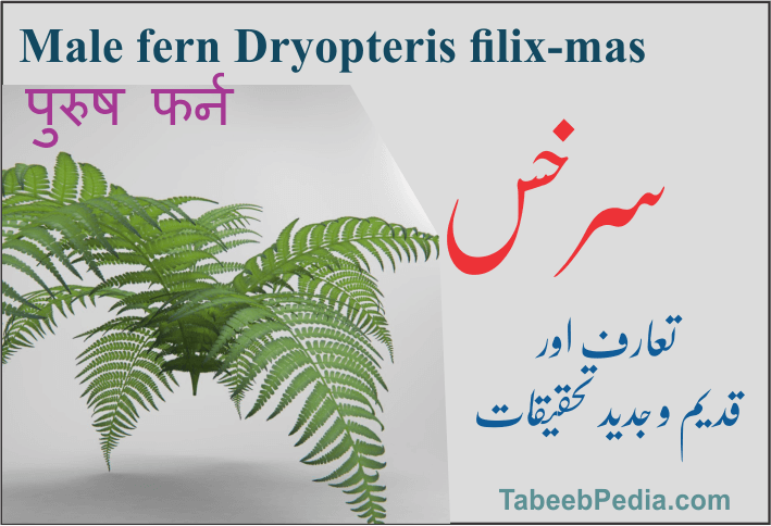 سرخس (پنکھراج)