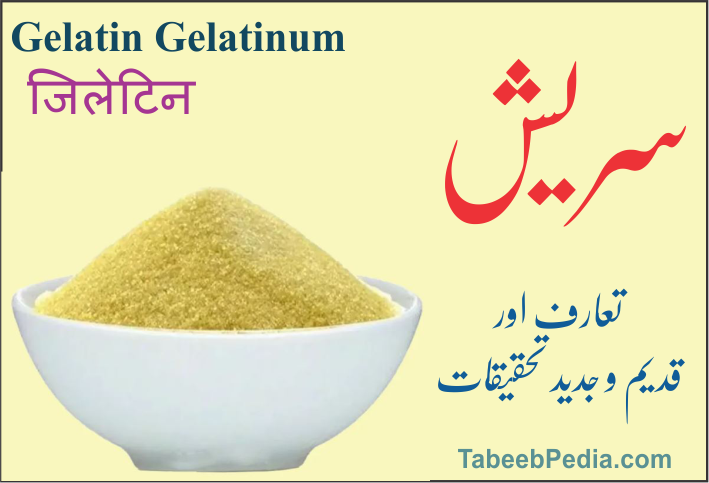 سریش