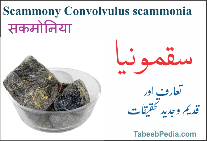 سقمونیا